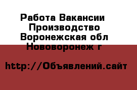 Работа Вакансии - Производство. Воронежская обл.,Нововоронеж г.